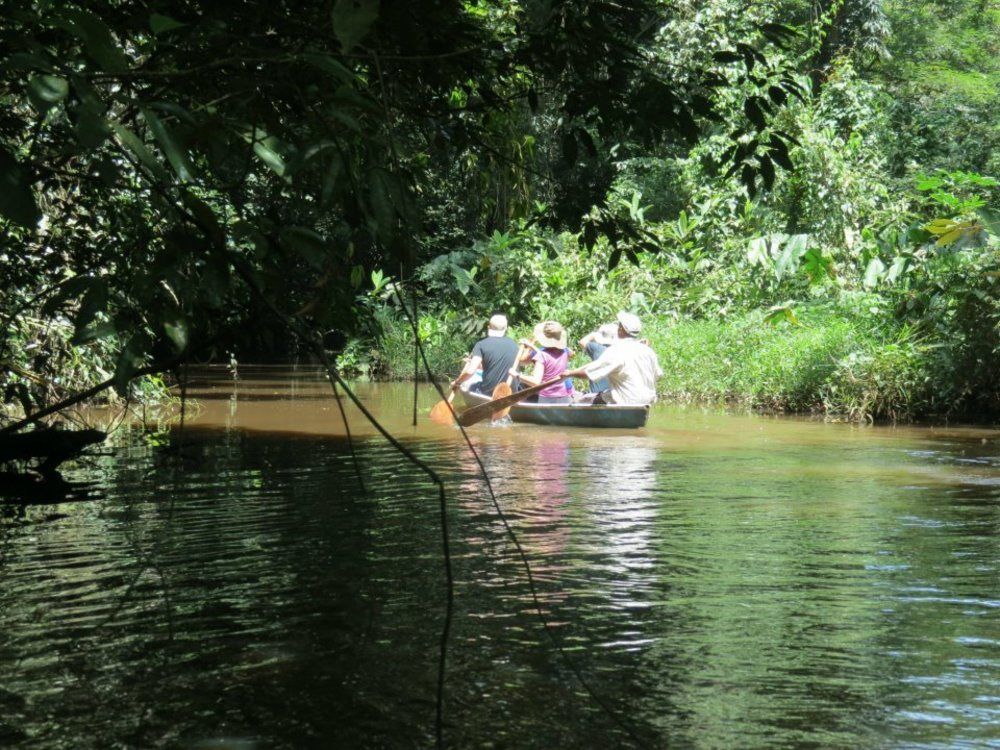 Miss Junies Lodge Tortuguero Luaran gambar